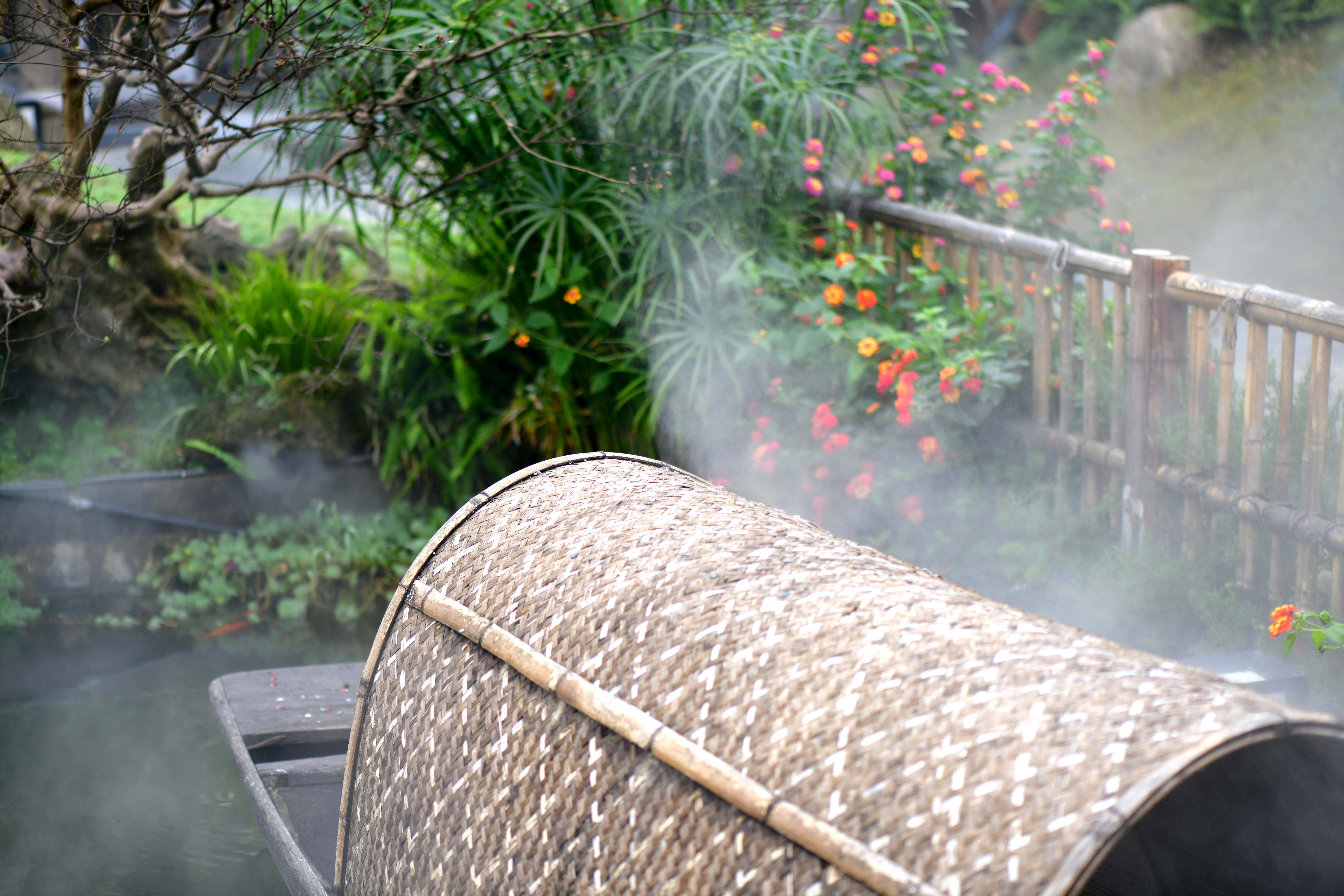 湘菜之甲鱼馆,特色湘菜甲鱼馆