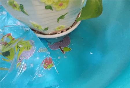 最简单自制自动水循环浇花,懒人浇花自动浇水diy