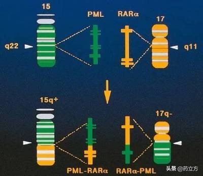 男子无意间发现自己的妻子往药里放*霜砒**,谁知是这是为了给他治病
