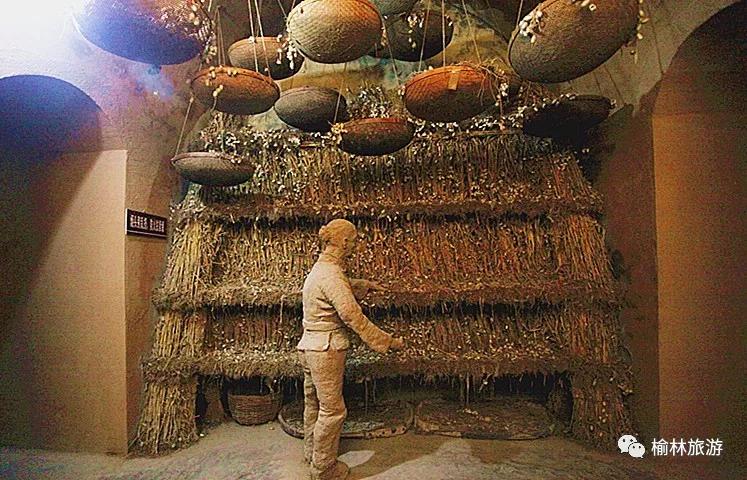 榆林周围历史博物馆推荐第一名,榆林十大博物馆