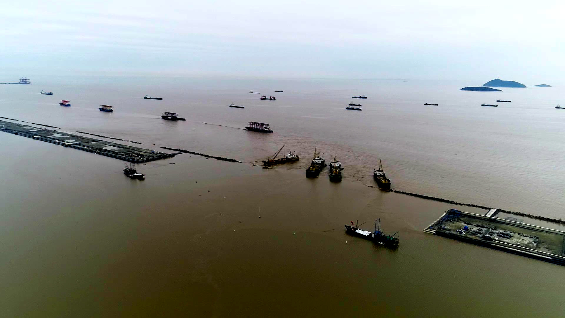 上海选调生2022选调高校名单,上海市定向选调高校范围