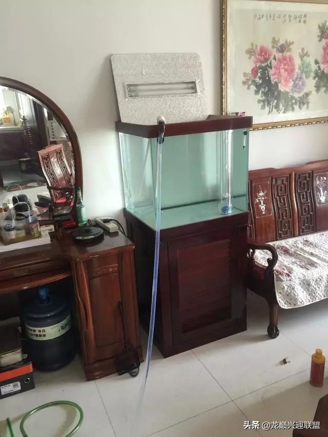 垃圾桶旁边的四方鱼缸,捡回去养了一缸金鱼,别说还挺不错