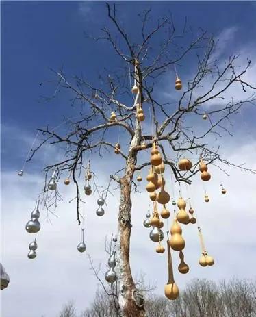 陈文令麦道夫最新信息 (陈文令对麦道夫的评价)