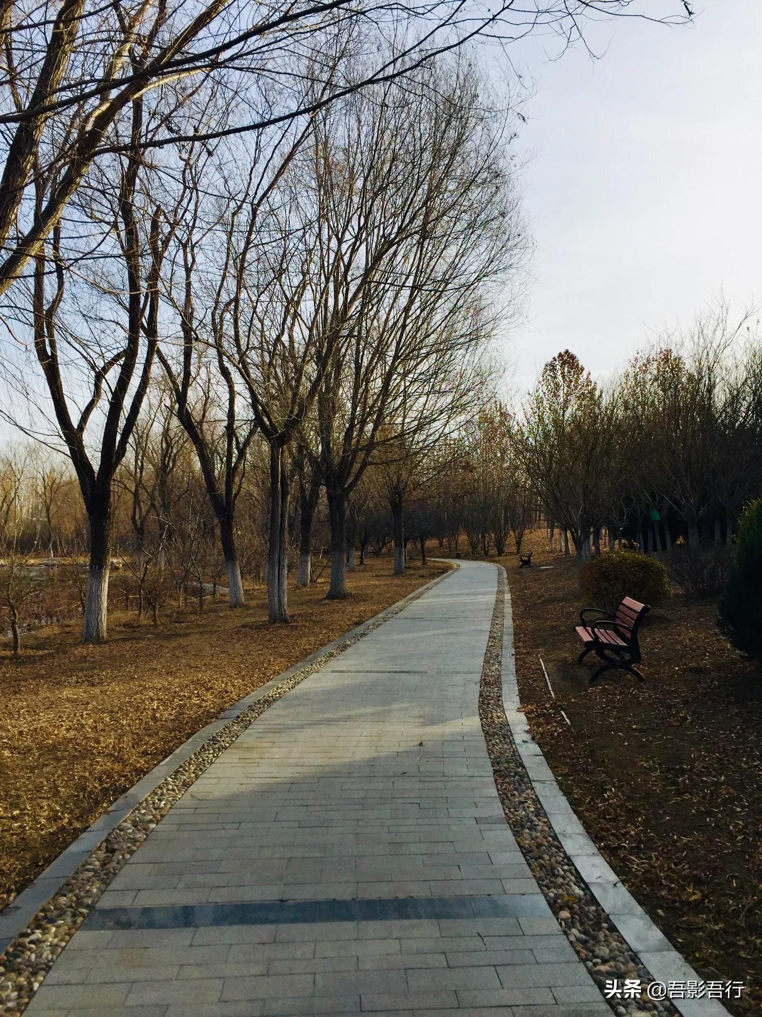 武清津北森林公园有哪些景色,天津武清森林公园开放时间表