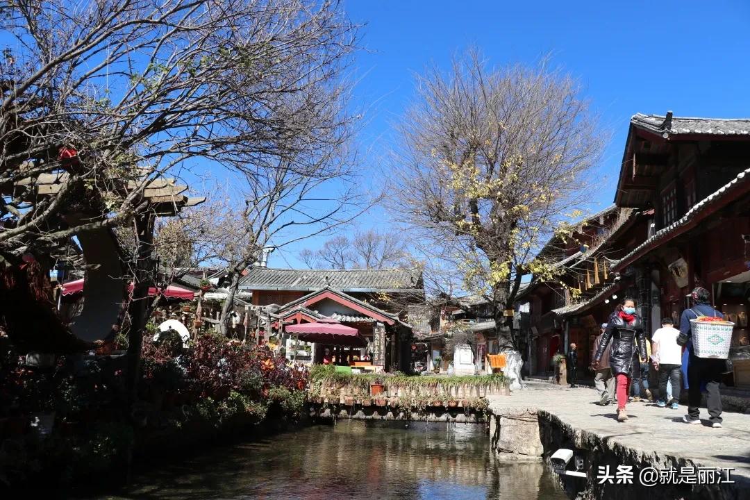 春节丽江古城人多吗,今年丽江春节好吗