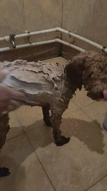 草莓洗澡用的沐浴露,女生草莓味沐浴露