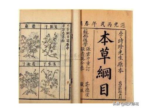 化学版生僻字完整版视频,九年级化学元素周期表生僻字