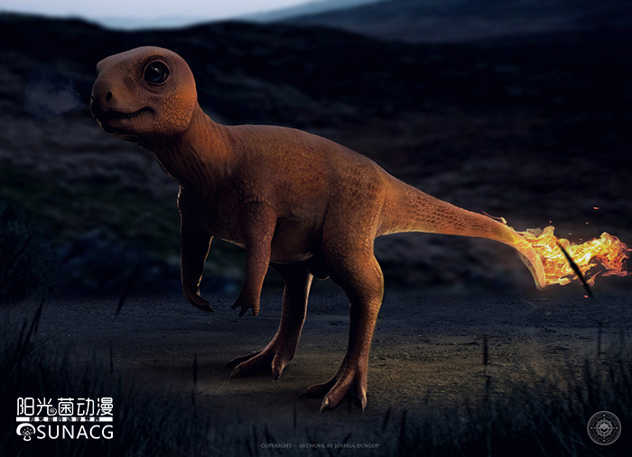 宠物小精灵哪个神奇宝贝最厉害,宠物小精灵里面稀有的神奇宝贝