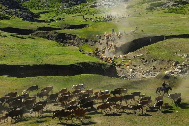 迁徙的家园，马背上的诗