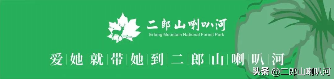 鎶婇鏅粰甯﹁蛋,鎶婂ス甯﹁蛋