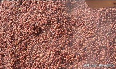 唐三镜张思漫,唐三镜白酒酿造技术