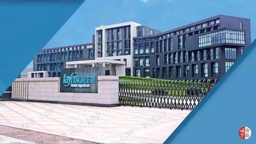 圈钱能力和赚钱能力“大比武”:莱茵生物，吃的是奶，挤出来的是草