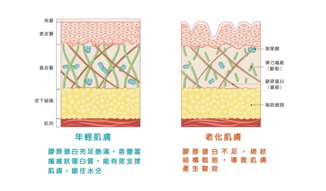 迪丽热巴花期,迪丽热巴青春年华