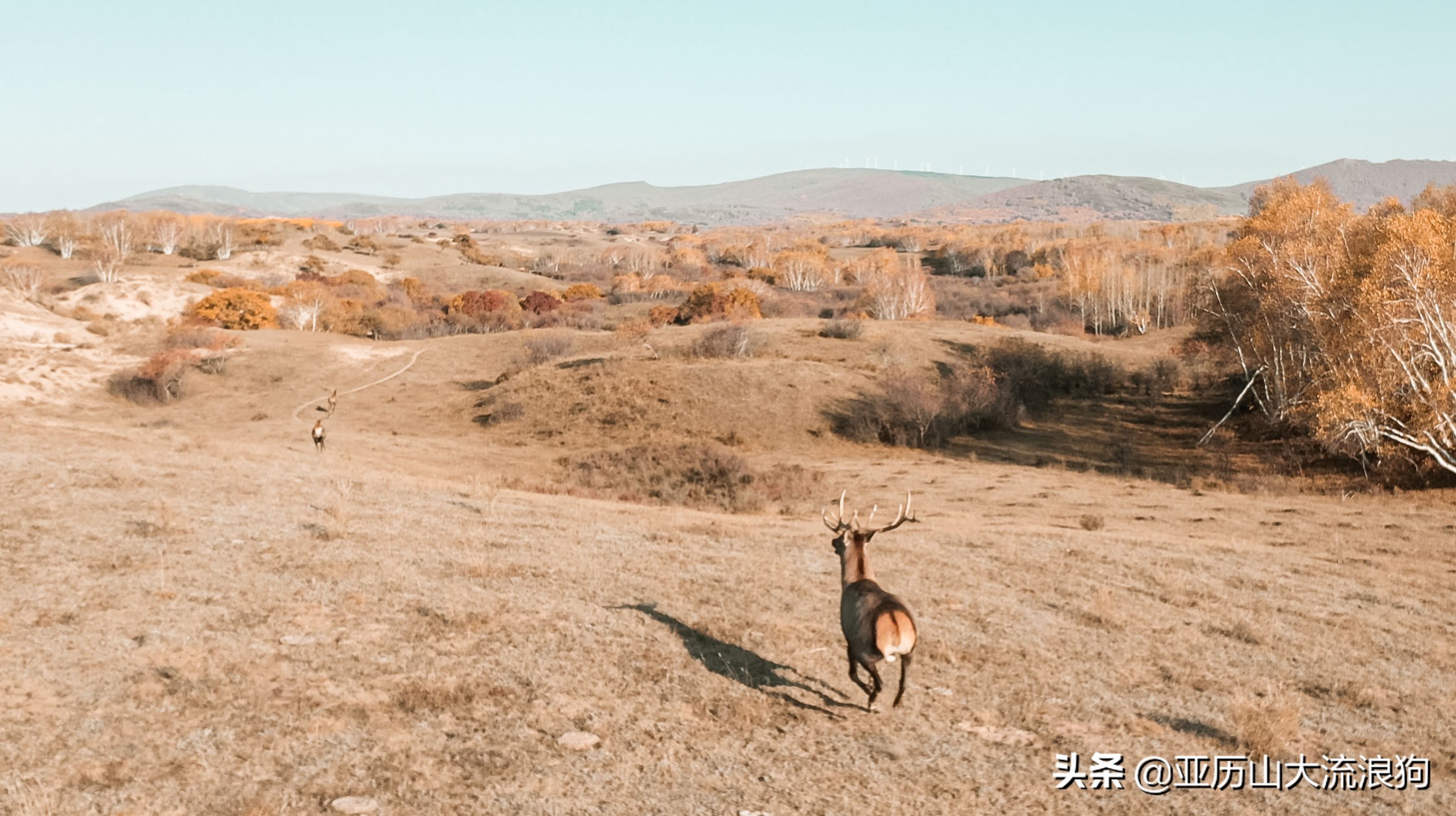你那秋天来了吗？我这反正颜料泼了一地——内蒙古黄岗梁穿越之旅