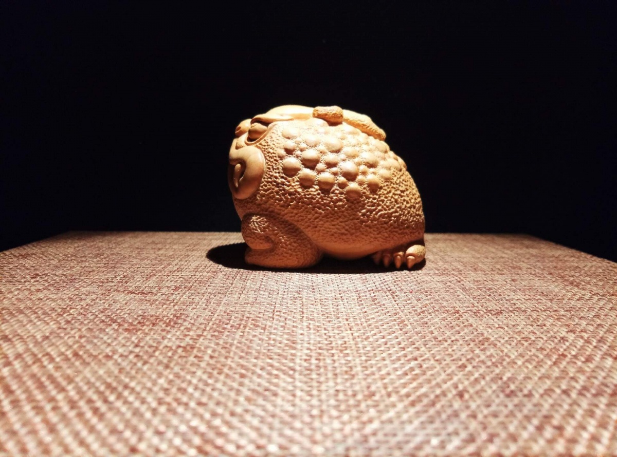 金蟾和金蟾区别,金蟾和蟾蜍是一种动物吗