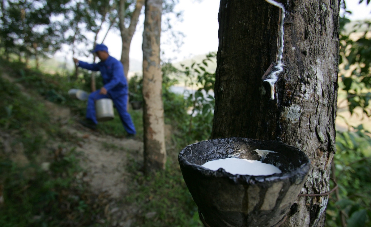 削弱美元霸权开辟第二市场,如何削弱美国霸权