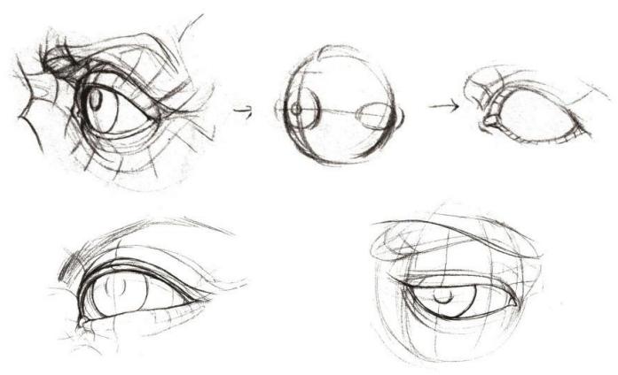 零基础人物脸的画法,人体五官细节该怎么画