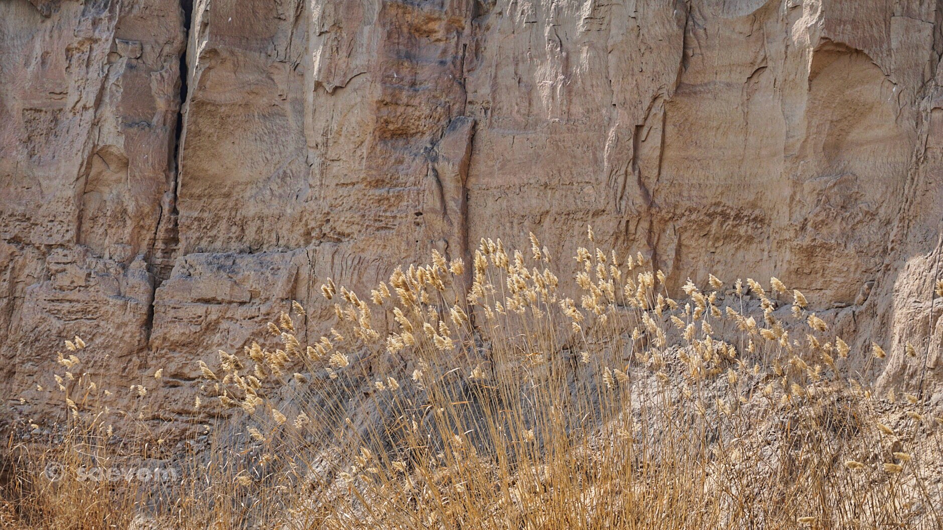 宁夏腾格里沙漠游玩攻略,宁夏沙漠旅行攻略