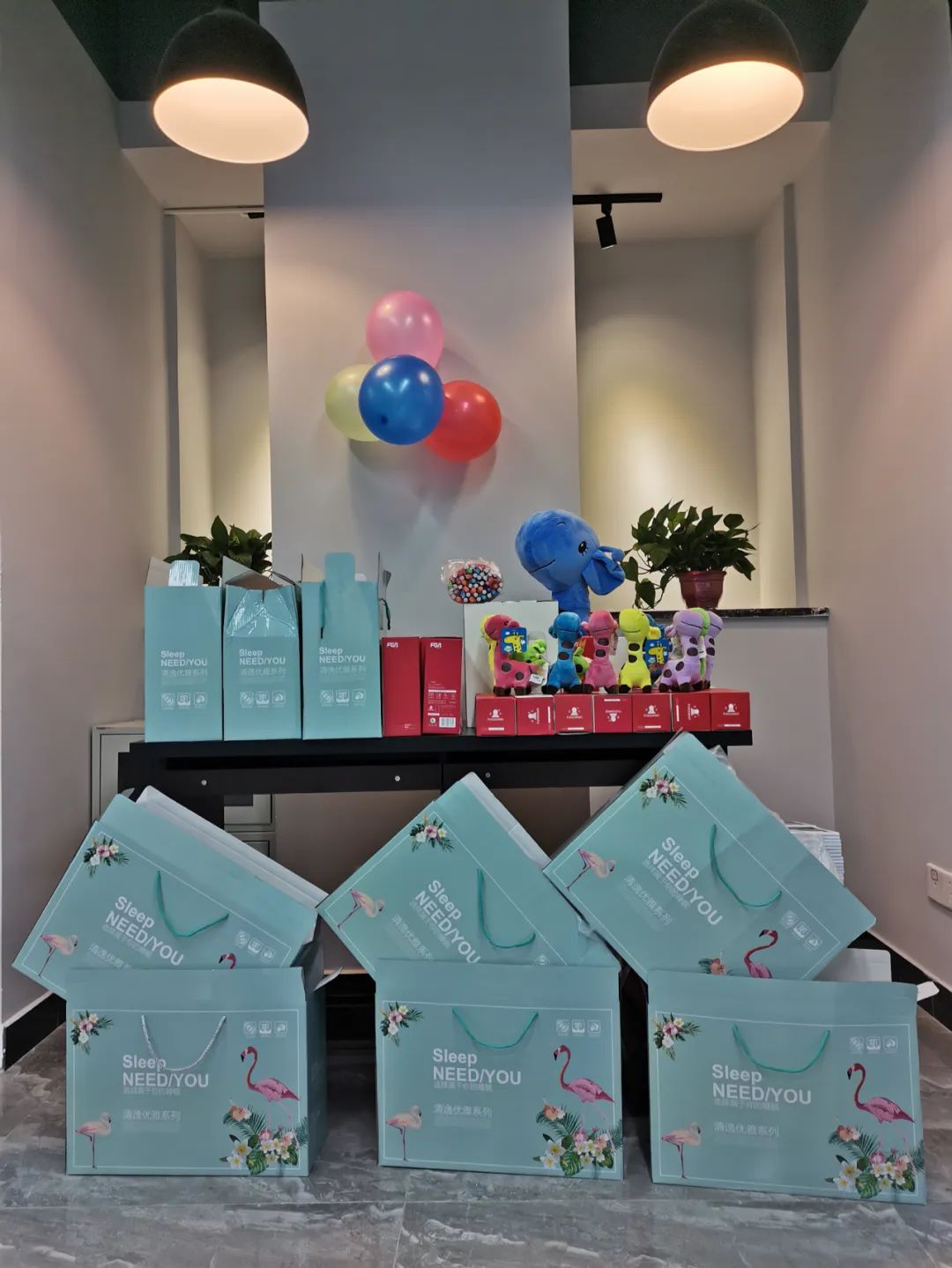 爱因森智立方校区盛大开业，在云端课堂学习，欣赏西山睡美人