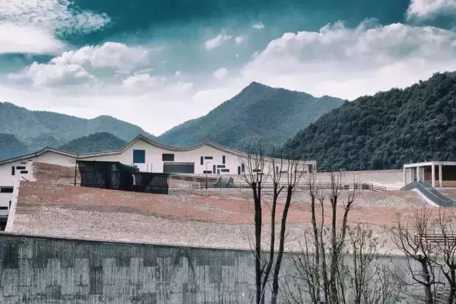 最美银杏秋景自驾攻略,杭州银杏树旅游攻略