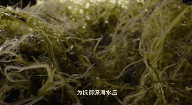 全国火锅排名怎么样,全国十大火锅示意图