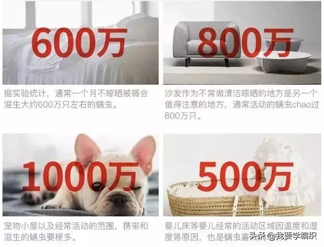 后背长痘的原因和改善方法,后背长痘太可怕了该怎样调理