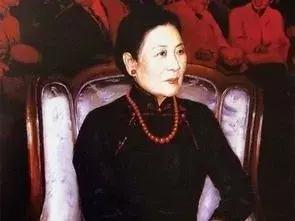 红珊瑚为什么最近火,红珊瑚十五年涨幅