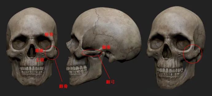 平颧骨女生怎样抗衰,颧骨在哪个位置最抗衰