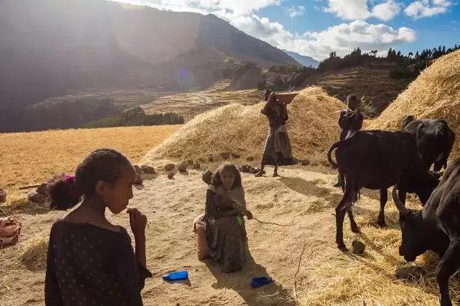 新研究发现吃鱼致癌是真的吗,研究素食危害