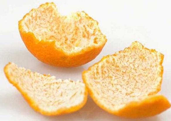 狗狗身上有跳蚤教你一招轻松去除,狗狗身上的跳蚤怎么治小妙招