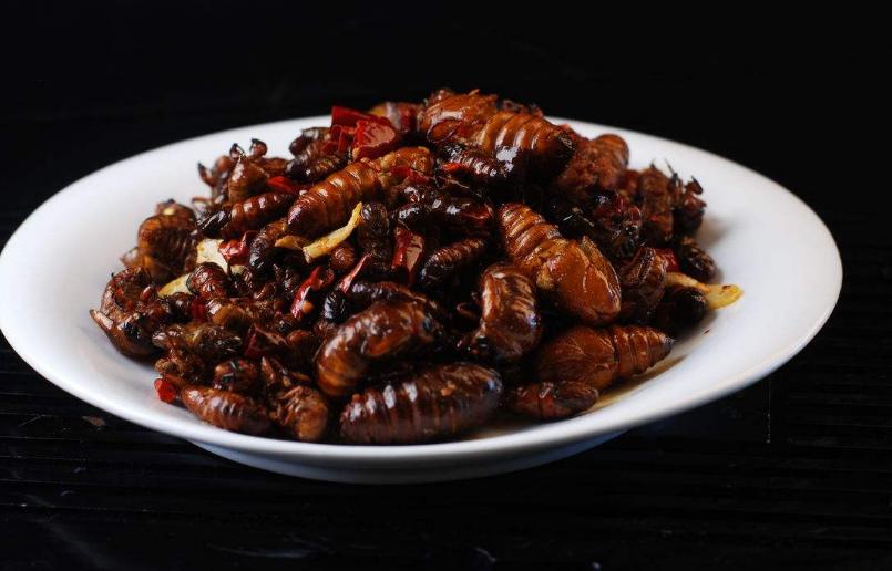 杜海涛沈梦辰吃蚕蛹,杜海涛沈梦辰吃油炸蚕蛹