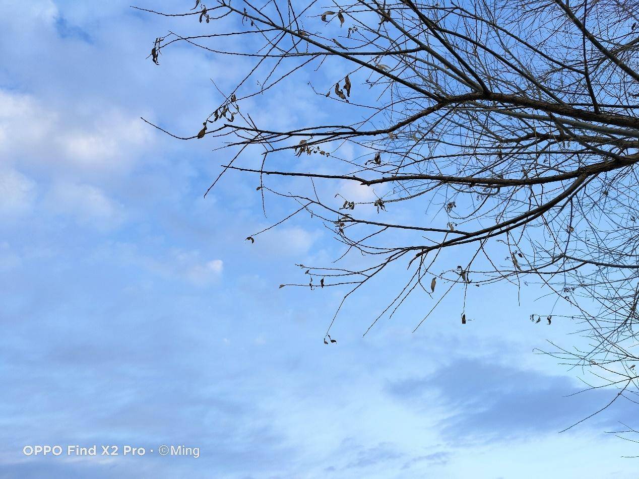 追求极致的高端旗舰oppofindx2pro,oppofindx2pro缎黑深度测评