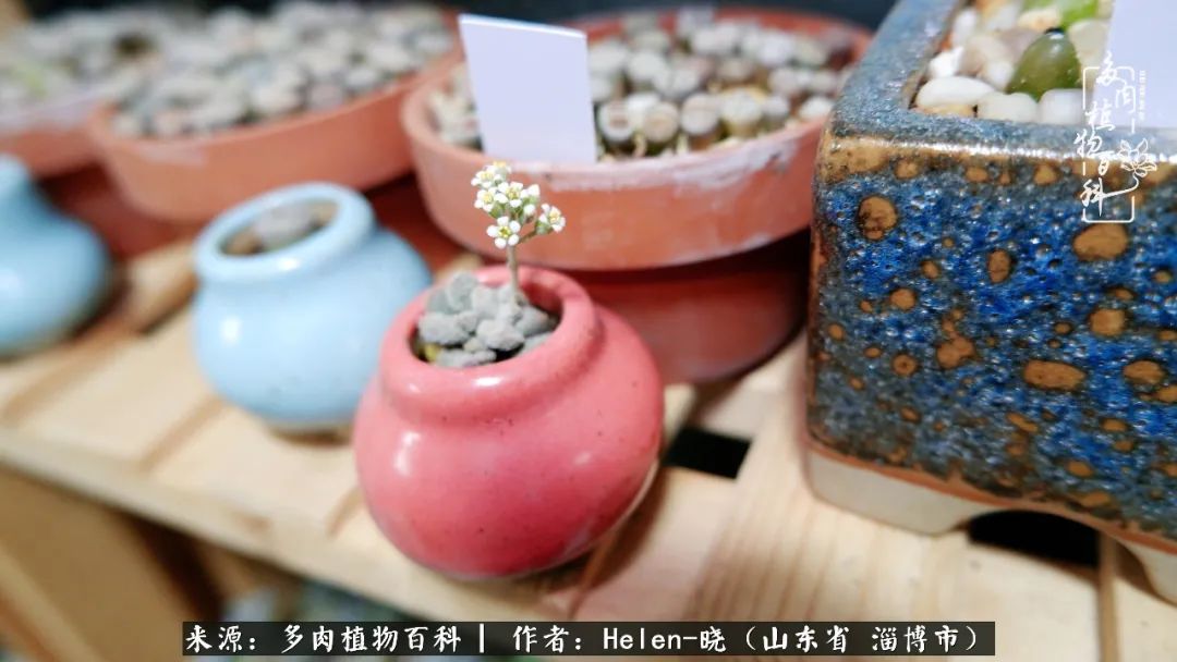 人到中年温暖如初,人到中年岁月静好