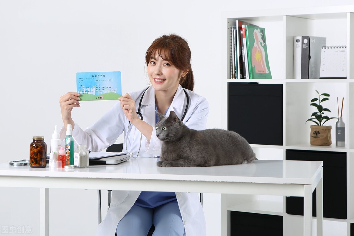 狗狗细小病毒只是呕吐小便黄,狗狗呕吐是不是细小病毒症状