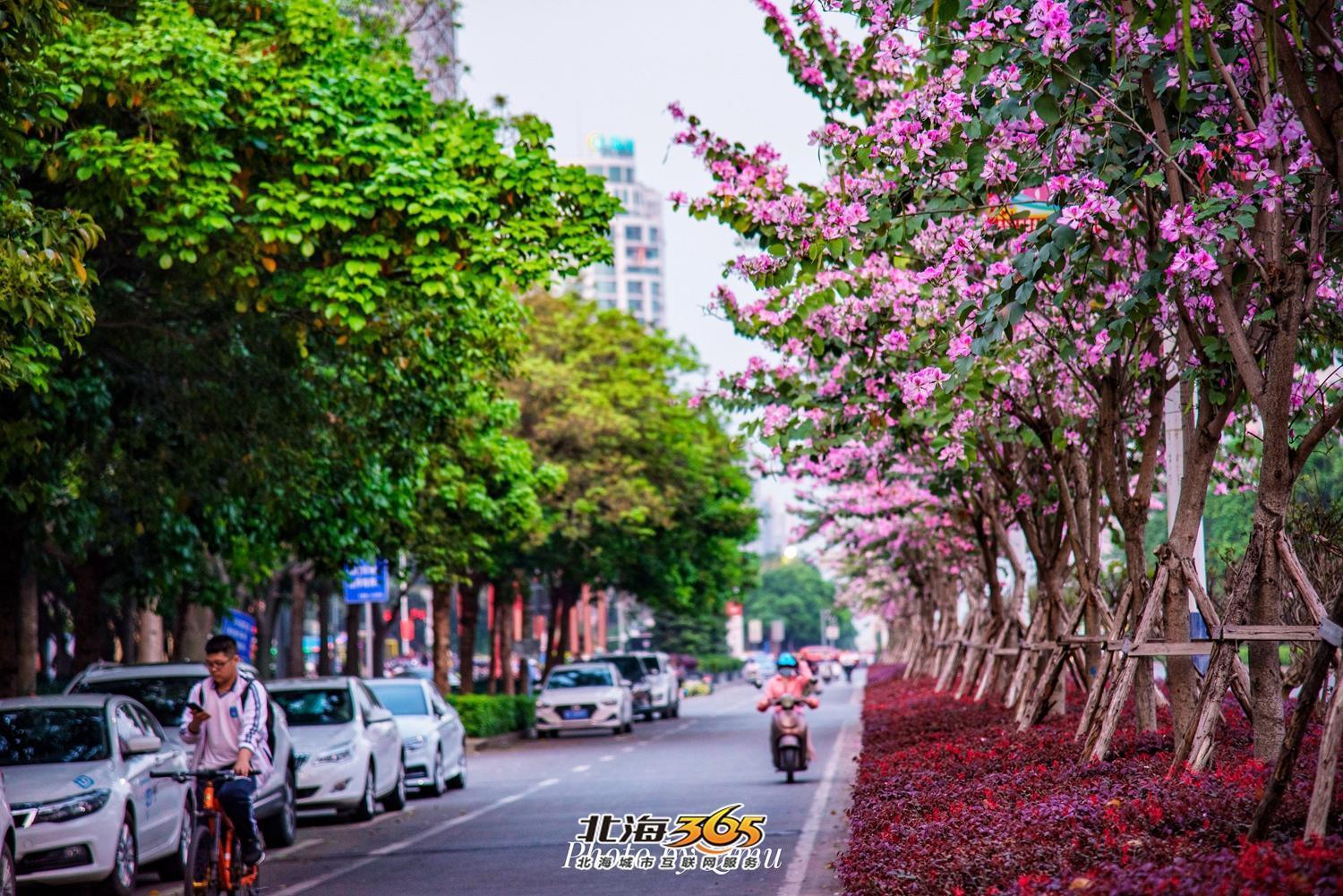 交房高品质,交房推荐楼盘