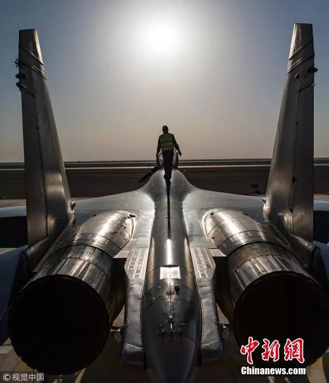 “东风快递”双十一送狗粮空军:不收!生日“我最大”