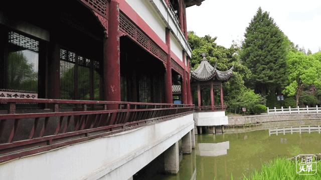 上海一日游古镇最佳路线免费景点,上海晚上十大必去免费景点