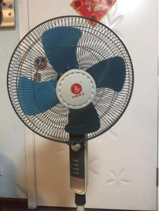 乡情散文：我家关于电风扇的记忆