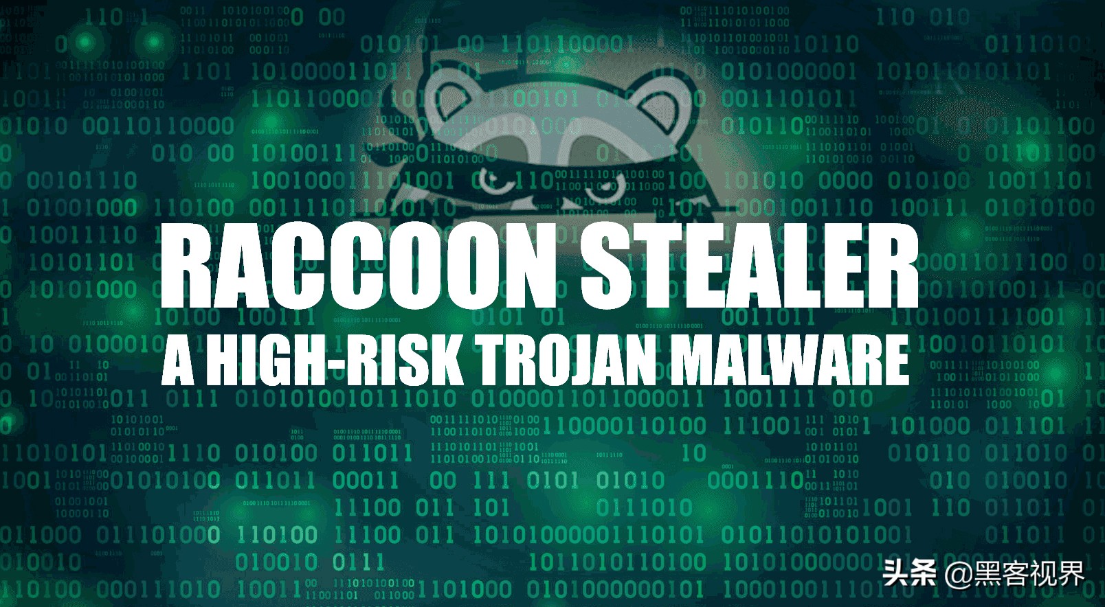 解读|暗网200美元包月的RACCOON间谍软件为何如此大受欢迎？