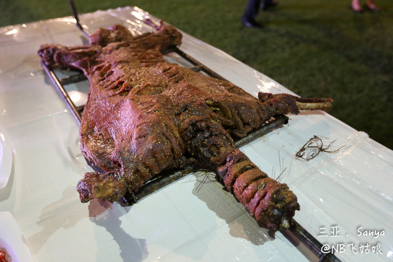 天寒地冻也有一缕阳光,寒冷的冬天寻找温暖的地方