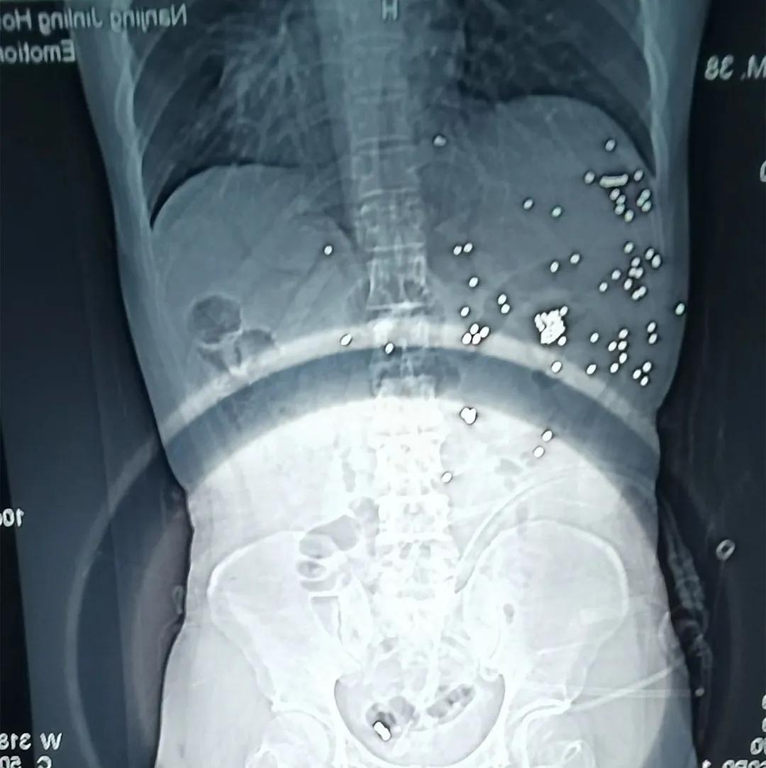 英雄归来不辱使命胜利回家,英雄回家感谢白衣天使
