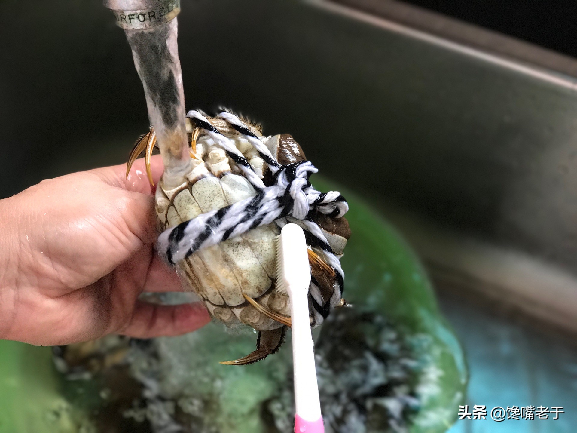 螃蟹为什么要捆着,螃蟹为什么要藏起来