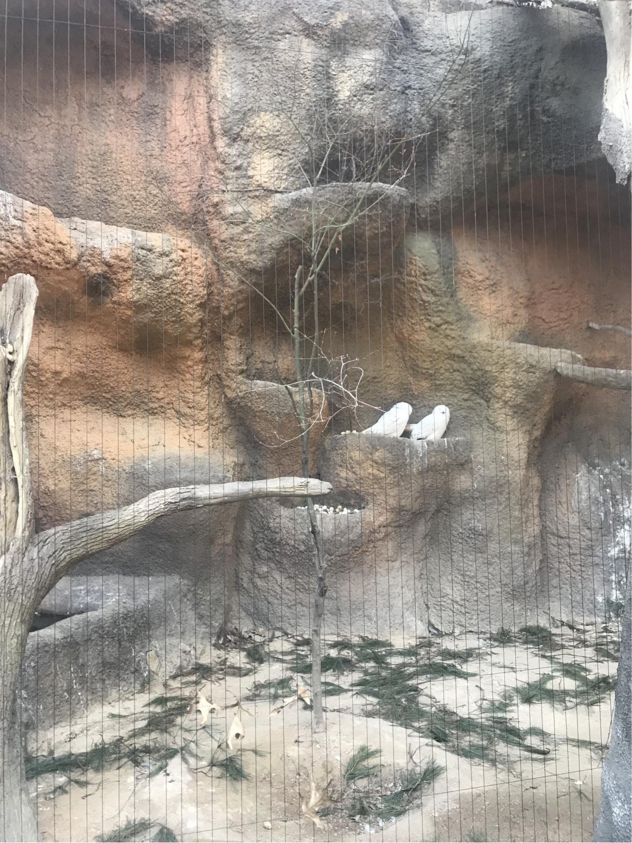 三星爱宝乐园面积,韩国爱宝乐园游乐园