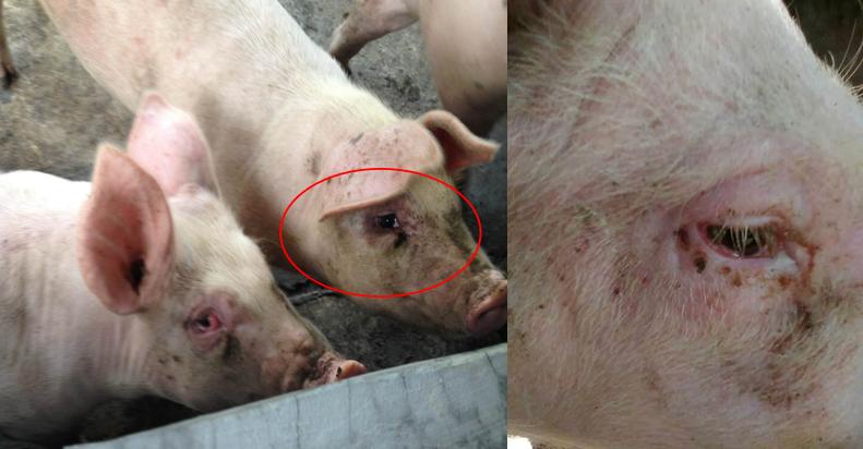 生产效率低原因及改善措施,生产效率提升不起来如何解决