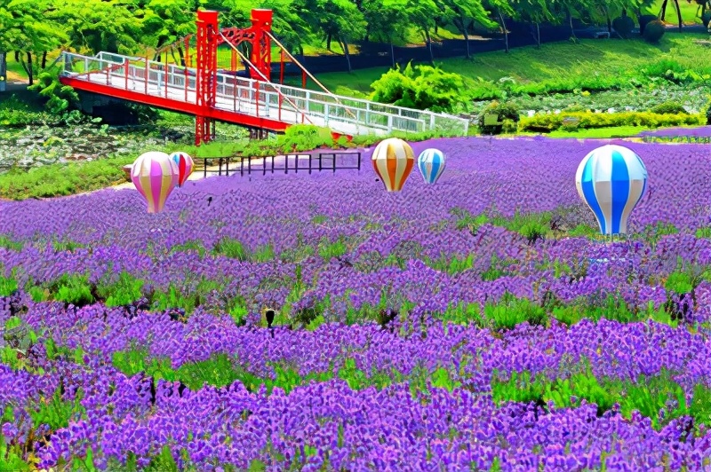 常州人对无锡赞誉有加，公开赞美滨湖区，胸襟真不错