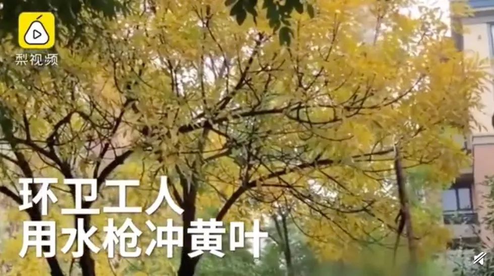 环卫工为什么又辛苦工资又低,环卫工人很辛苦为何工资却很低