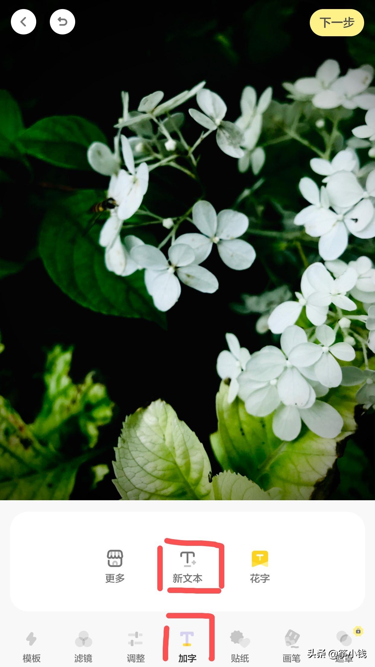 如何做一个能涨粉的读书博主,新手小白如何做读书博主