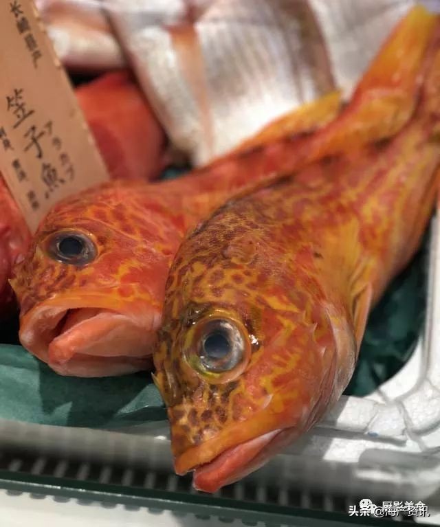 这些诱人的美食你吃过吗,世界上顶级海鲜大全你吃过几种