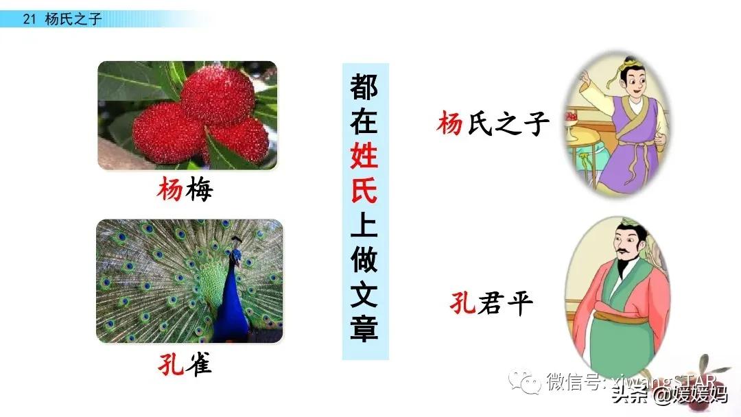 部编版五年级语文21杨氏之子教案,五年级下册语文21课杨氏之子笔记