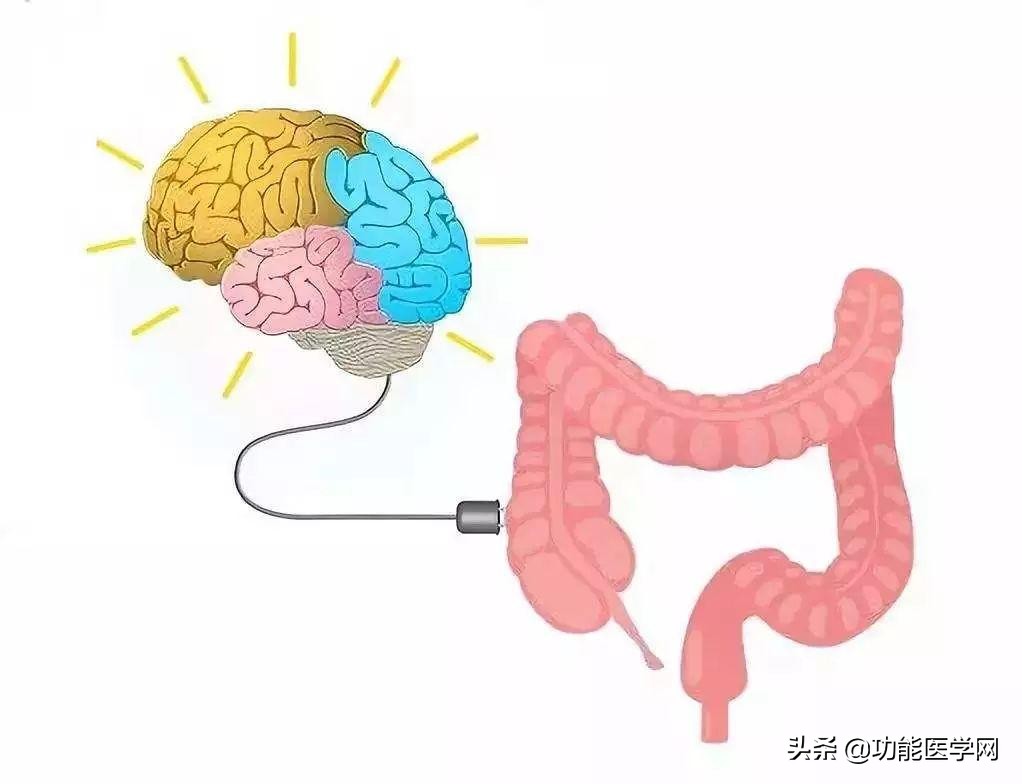 让人着迷的元素,微生物脑肠轴介绍